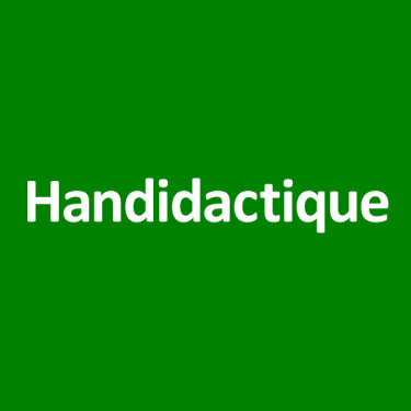 Site de Handidactique